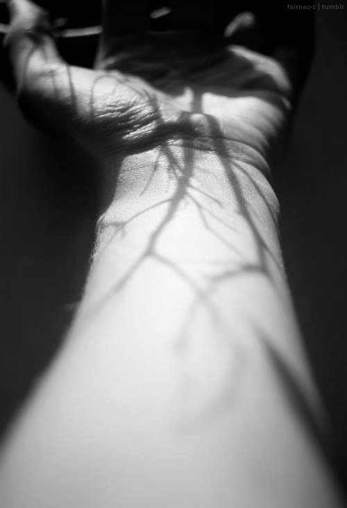 Archillect ID 58897