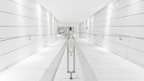 Archillect ID 58910