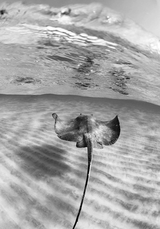 Archillect ID 58916