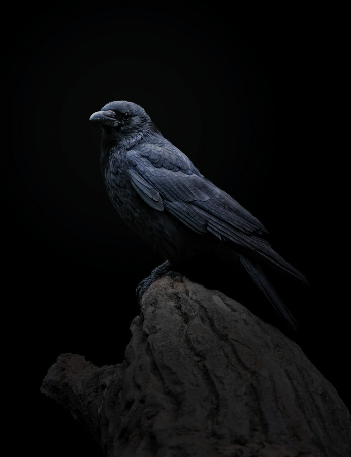 Archillect ID 58929