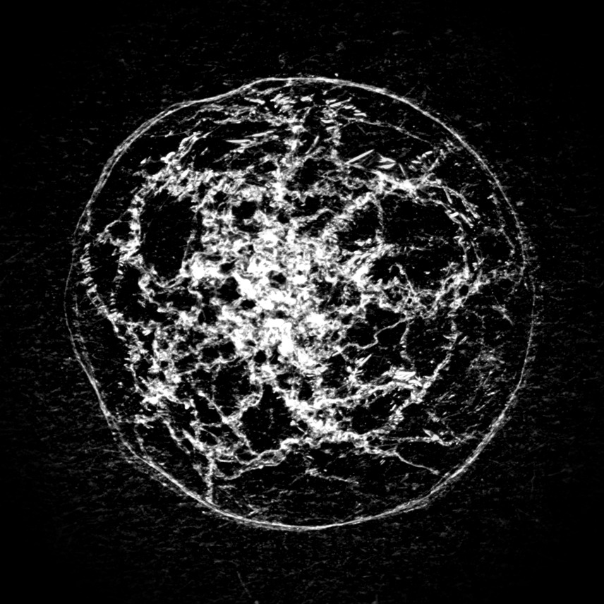 Archillect ID 58940