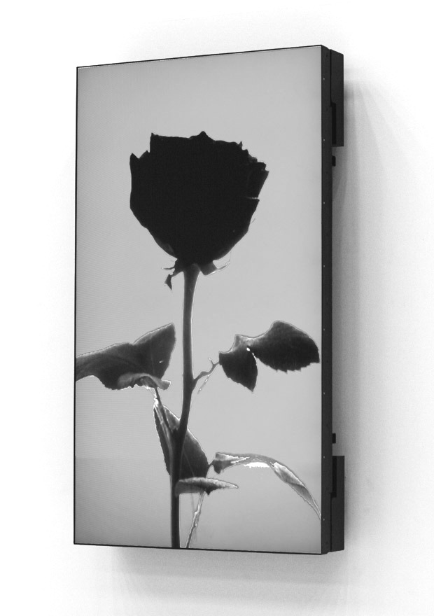 Archillect ID 58950
