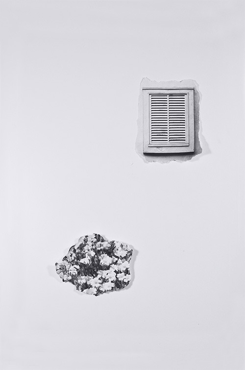 Archillect ID 58989