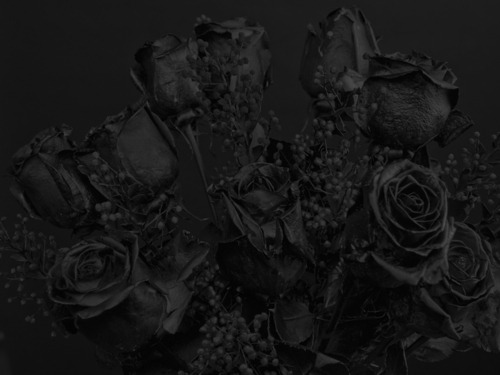 Archillect ID 59016