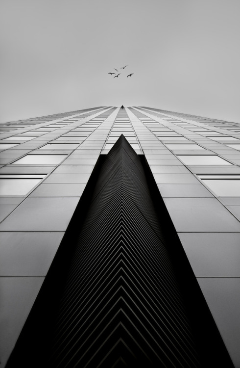 Archillect ID 59021