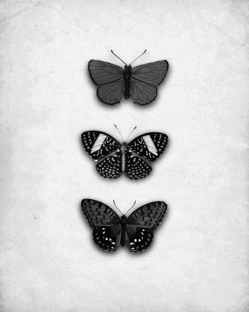 Archillect ID 59062