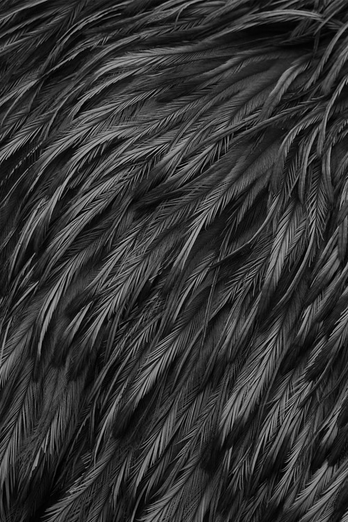 Archillect ID 59152