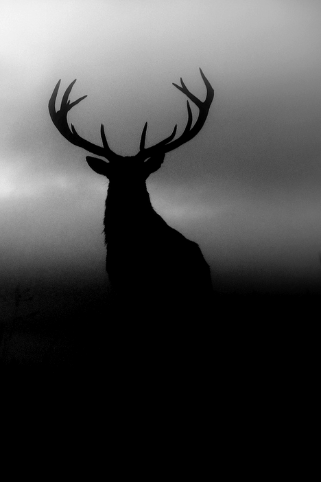 Archillect ID 59196