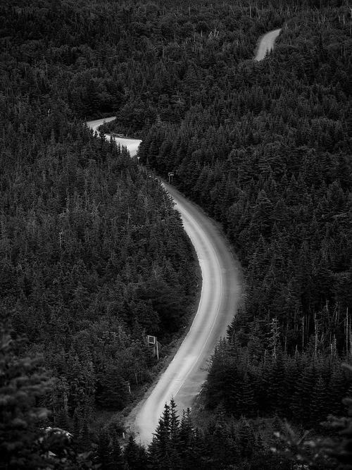 Archillect ID 59221
