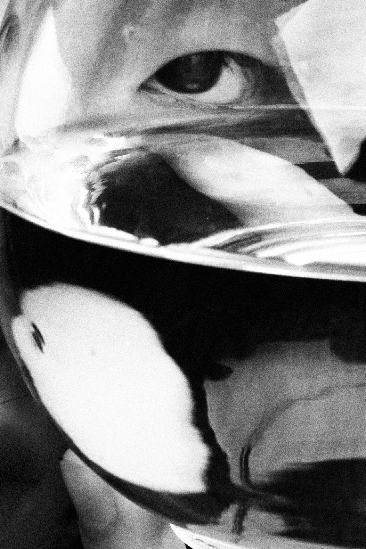 Archillect ID 59282