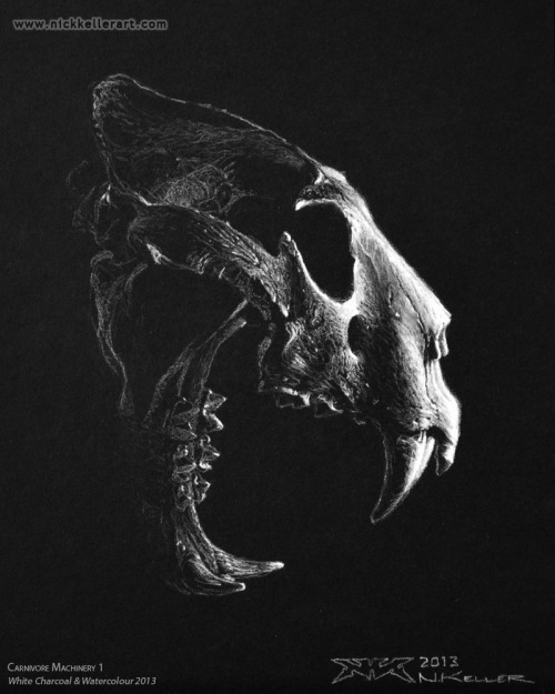 Archillect ID 59480
