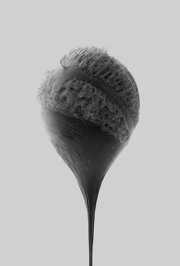 Archillect ID 59534