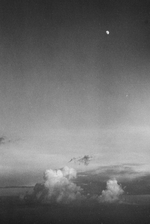 Archillect ID 59568