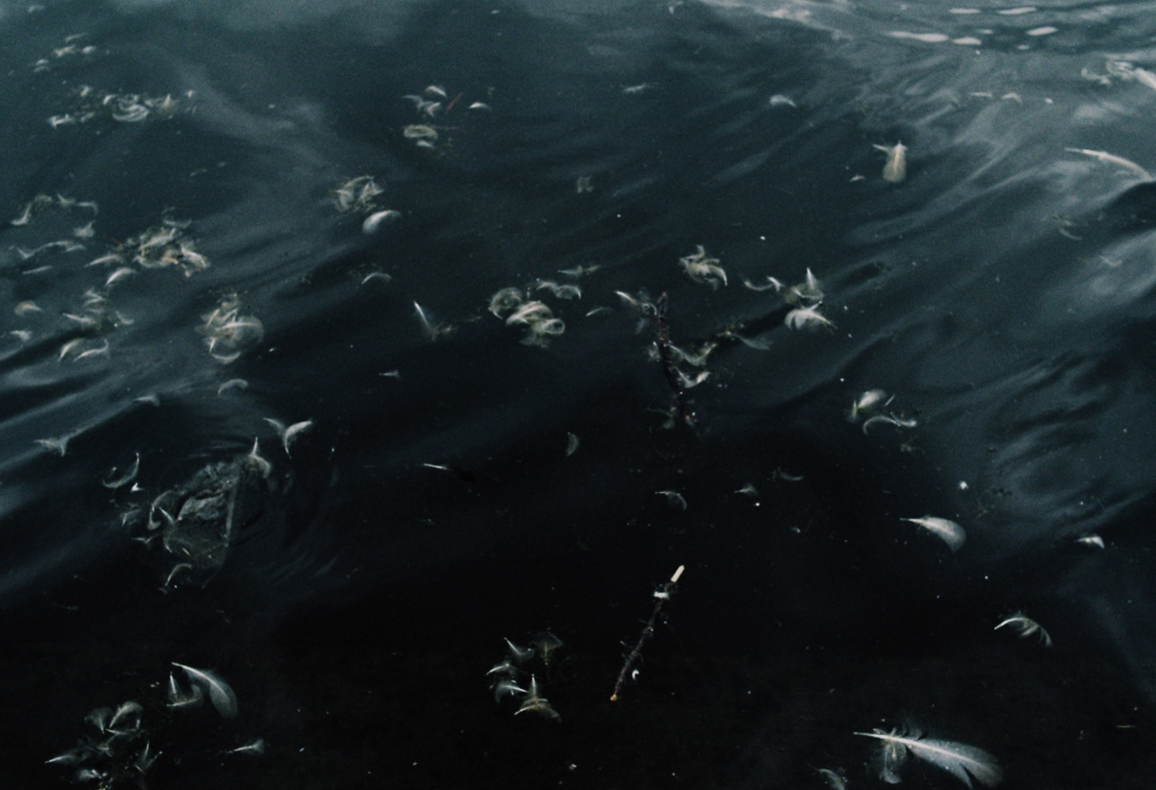Archillect ID 59623