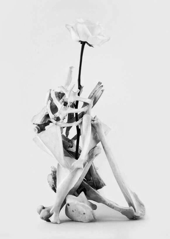 Archillect ID 59800