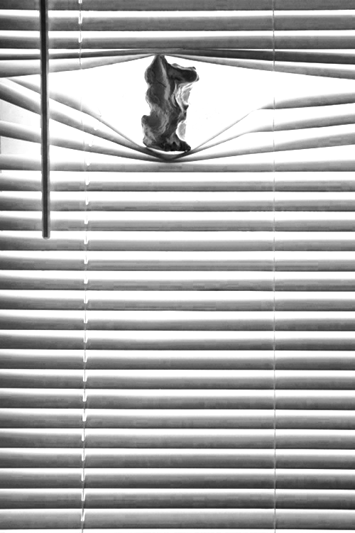 Archillect ID 59801