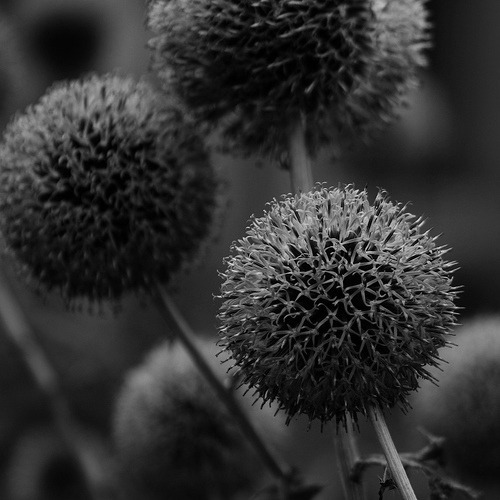 Archillect ID 59825