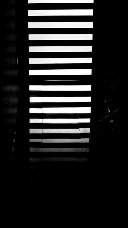 Archillect ID 59861