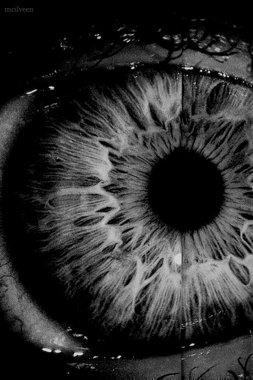 Archillect ID 59880