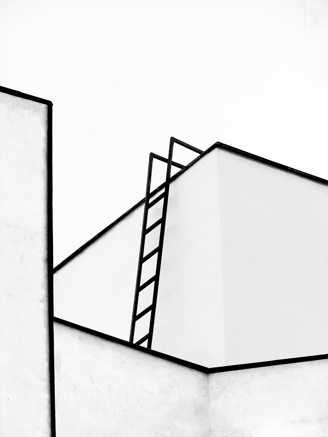Archillect ID 59955