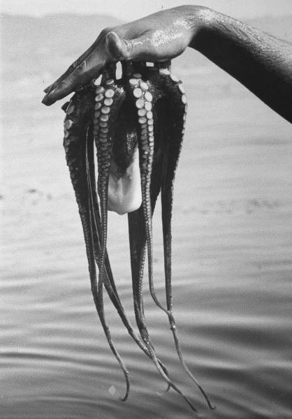 Archillect ID 60070