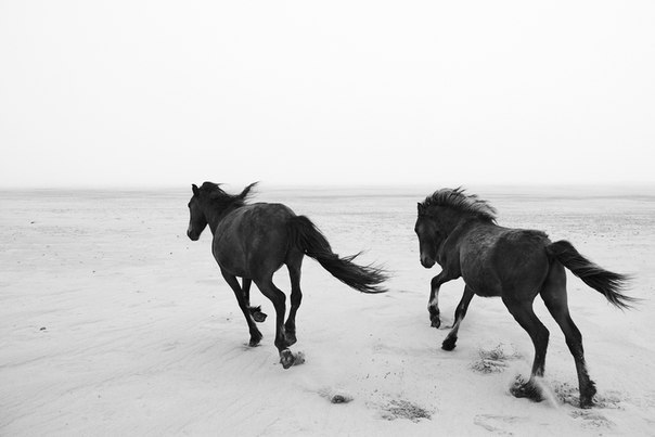Archillect ID 60110