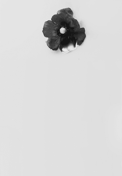Archillect ID 60197