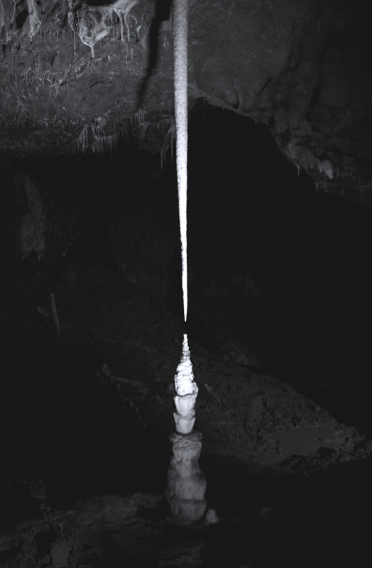 Archillect ID 60220