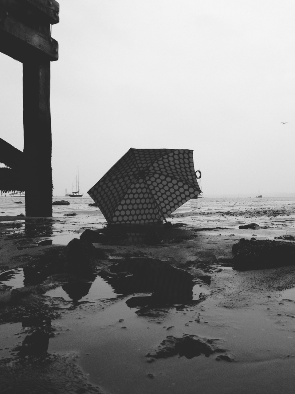 Archillect ID 60270