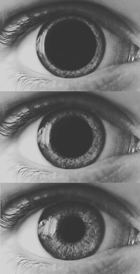 Archillect ID 60338