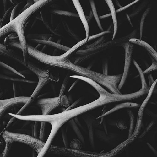 Archillect ID 60340
