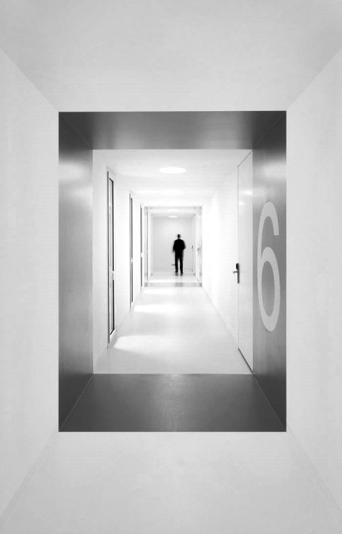 Archillect ID 60372