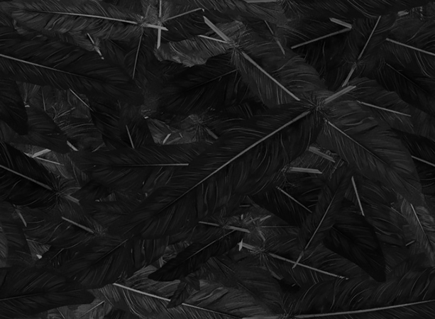 Archillect ID 60408