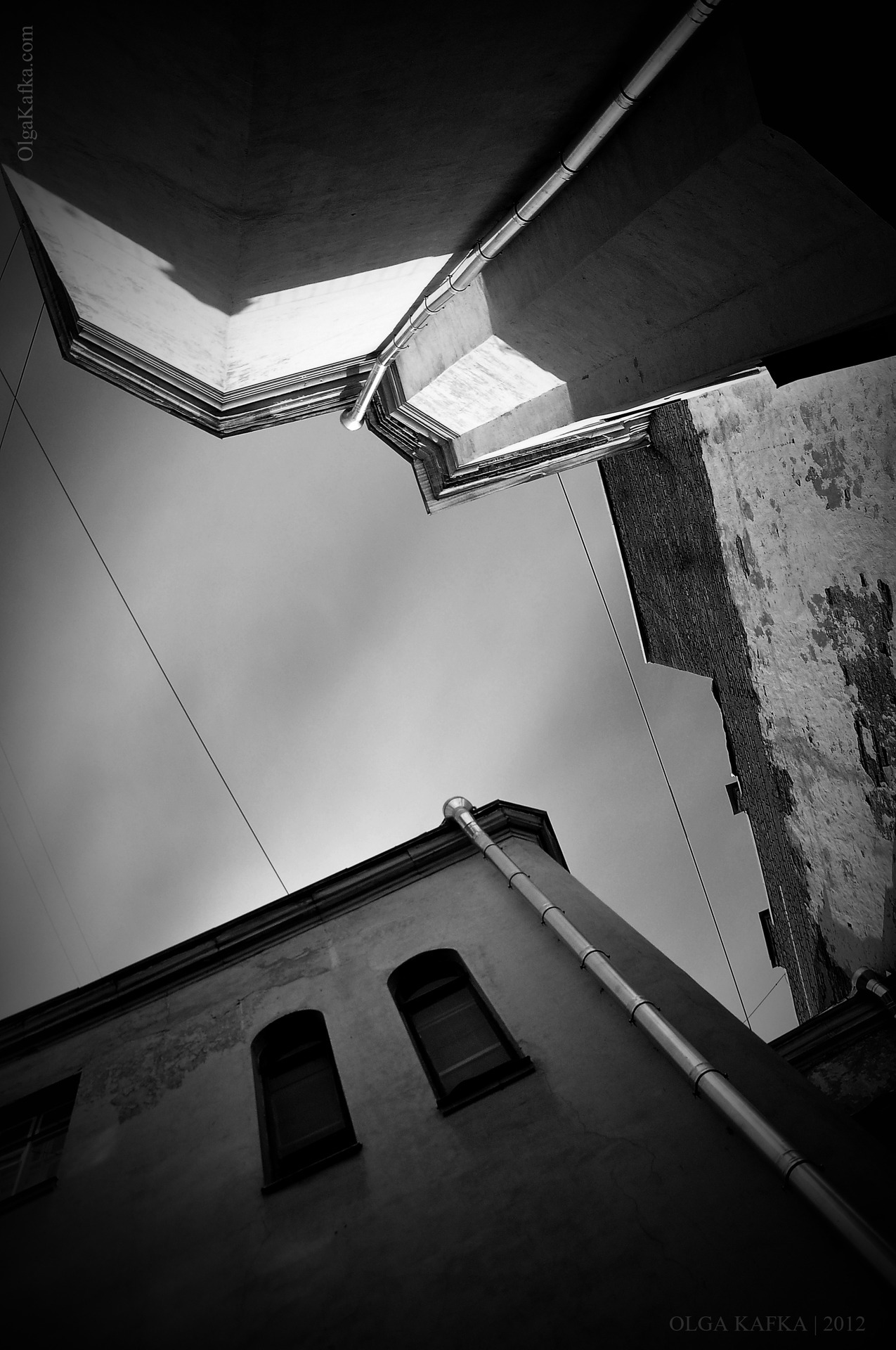 Archillect ID 60446