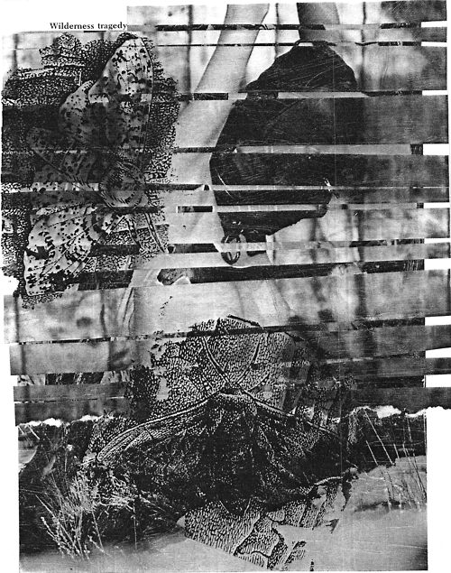 Archillect ID 60501
