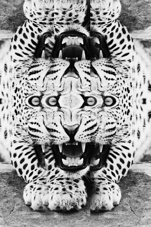 Archillect ID 60613