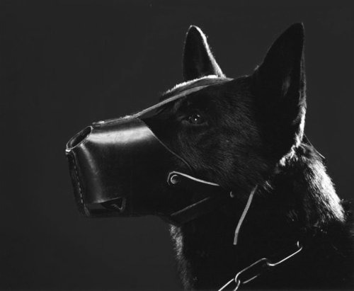 Archillect ID 60751