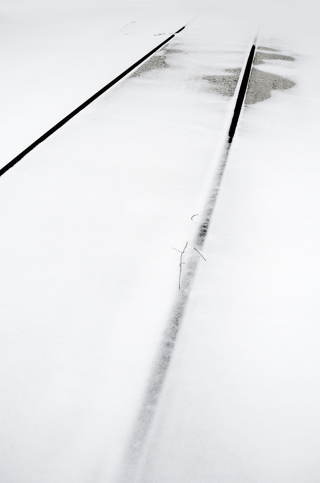 Archillect ID 60775