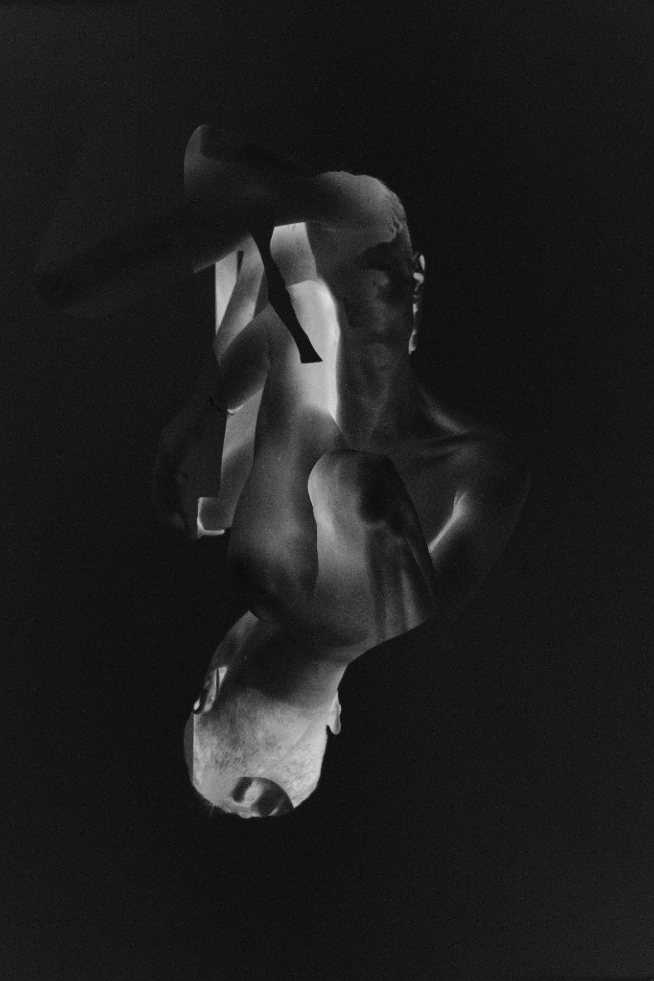 Archillect ID 60795