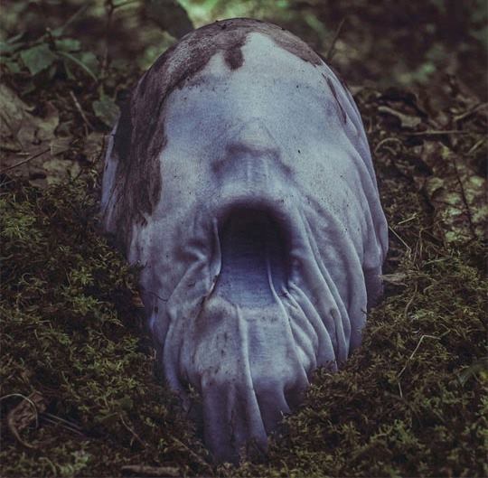Archillect ID 60813