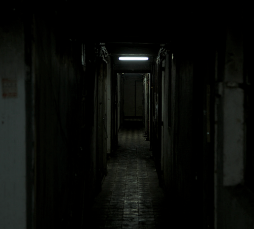 Archillect ID 60832