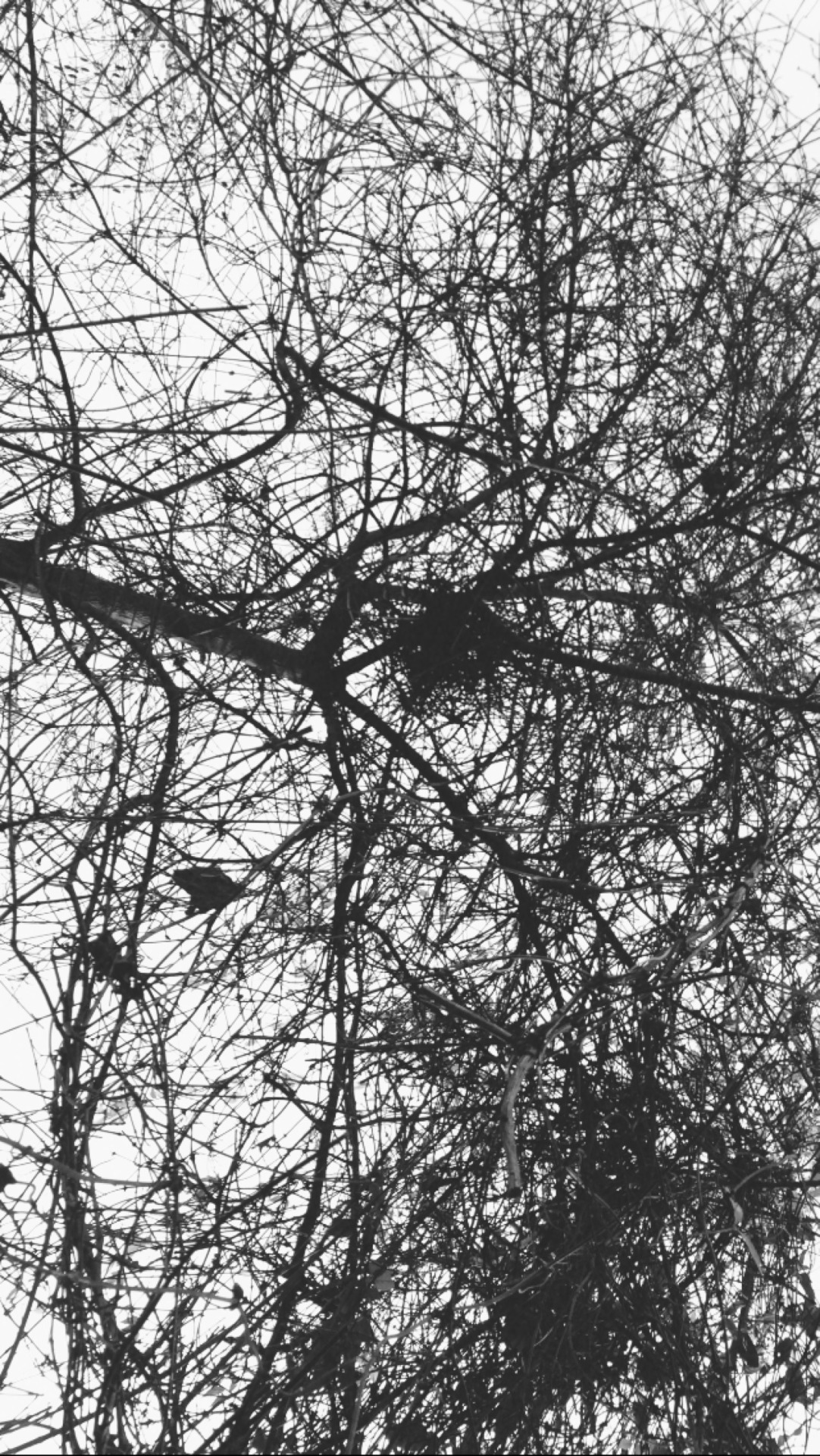 Archillect ID 60885
