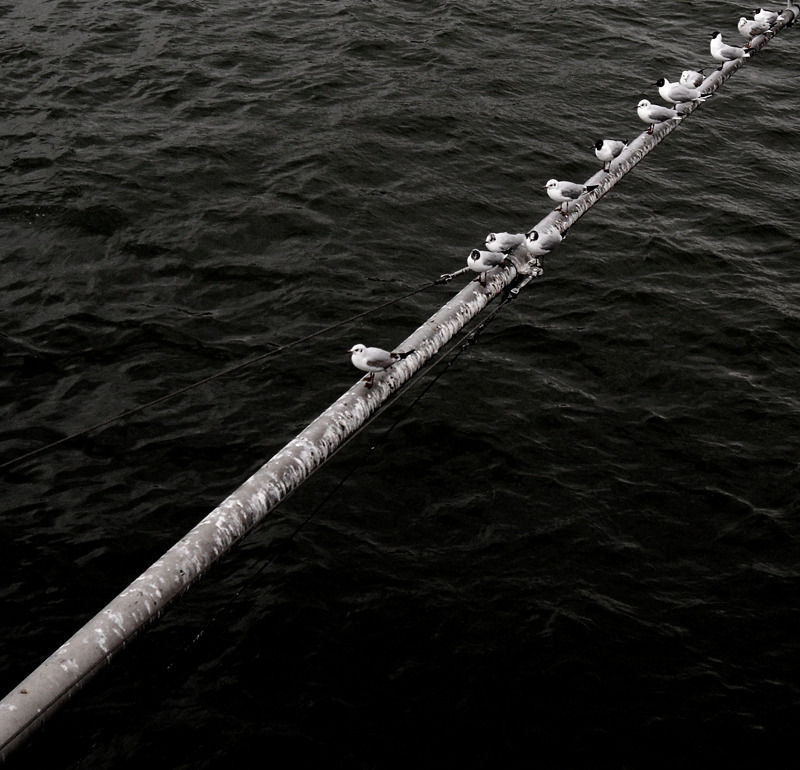 Archillect ID 60995