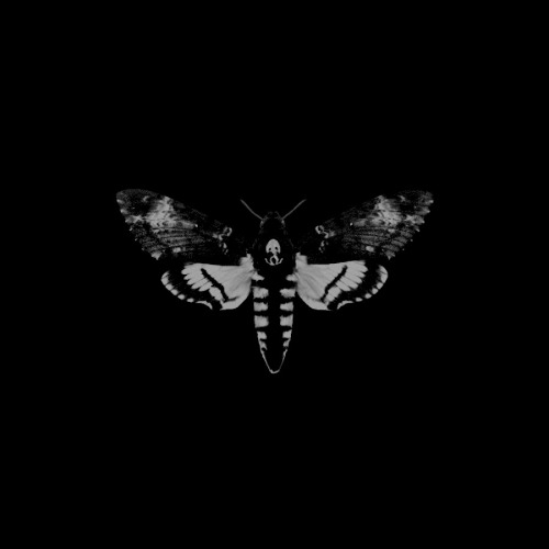 Archillect ID 61232