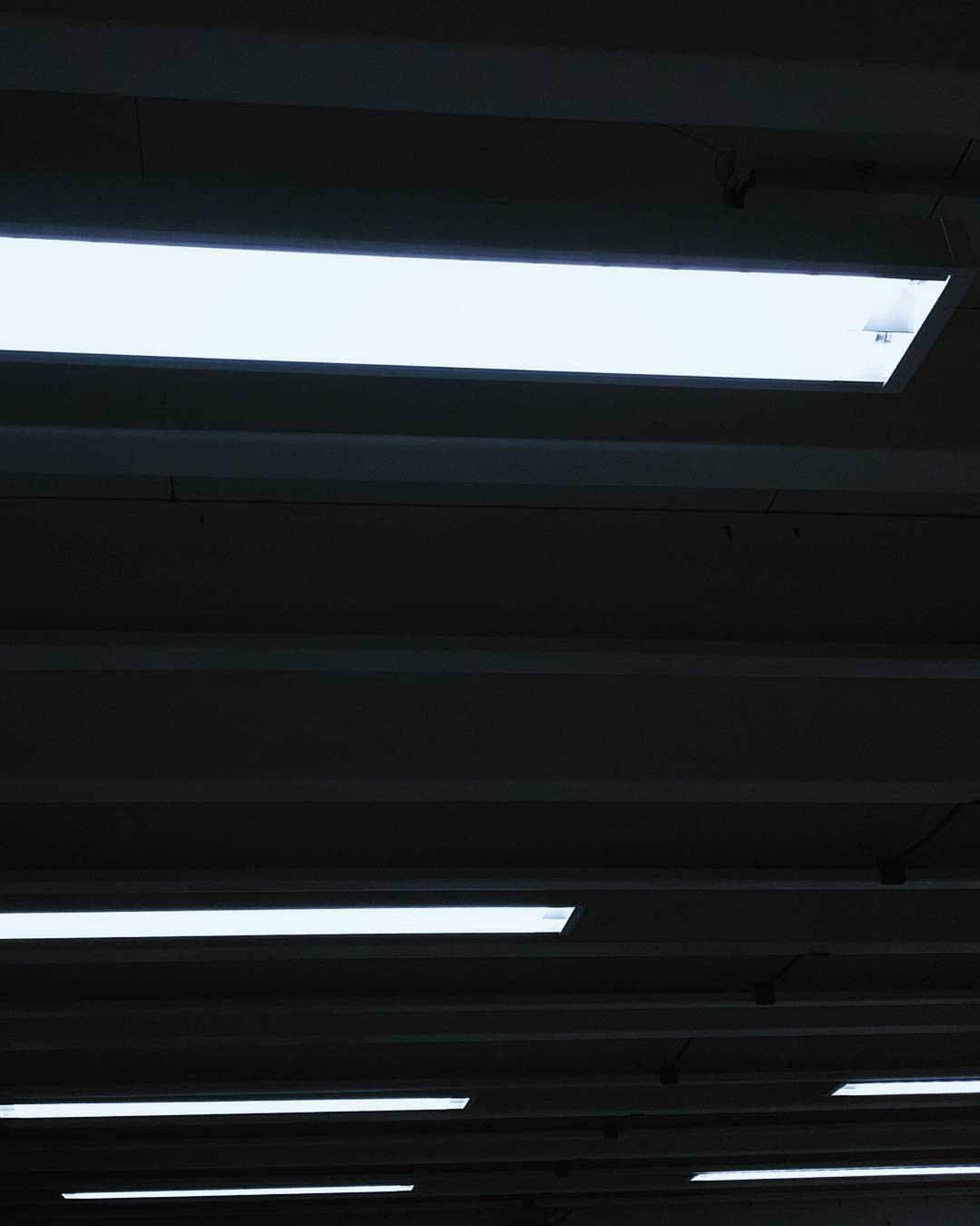 Archillect ID 61421