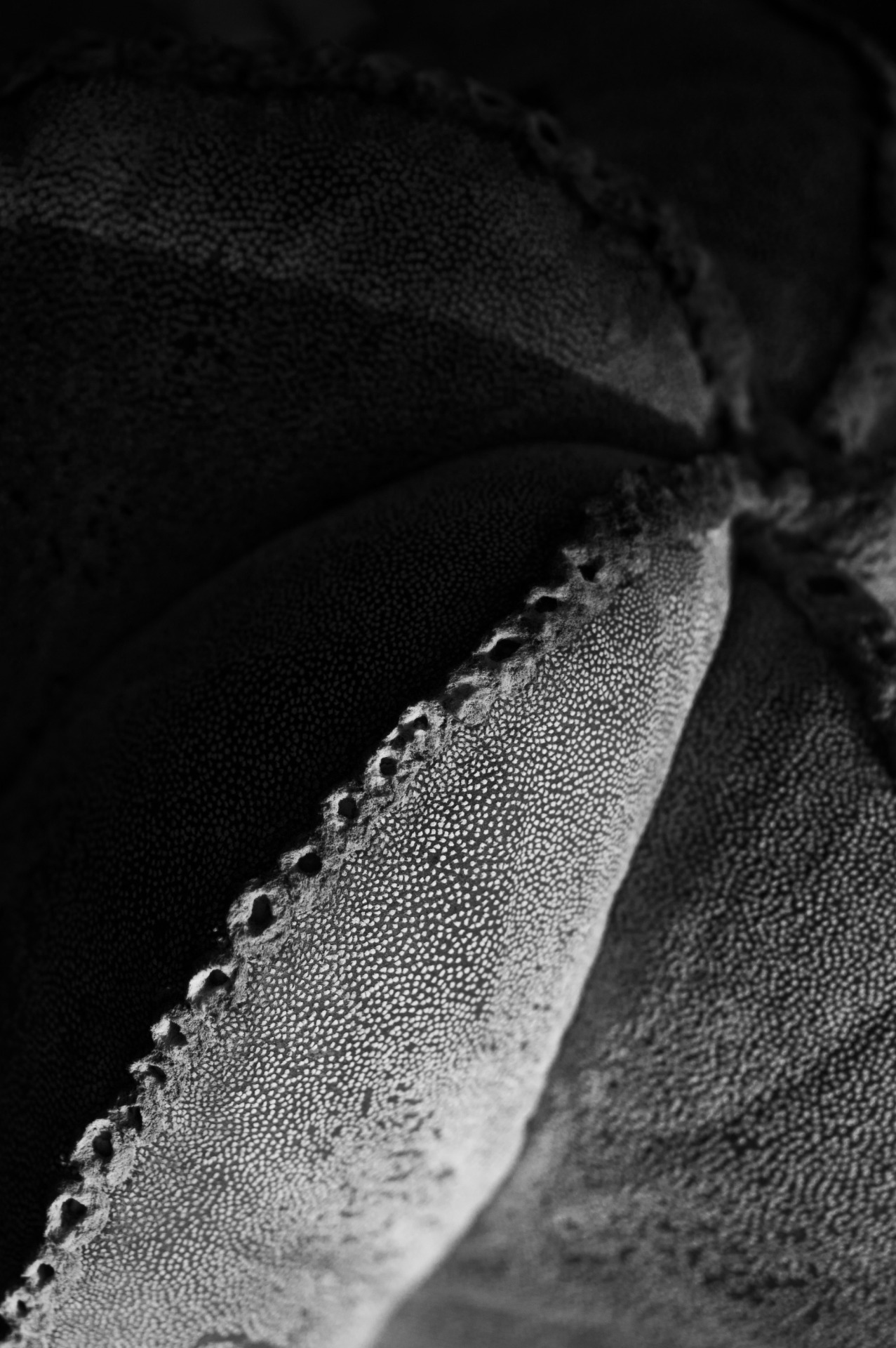 Archillect ID 61444