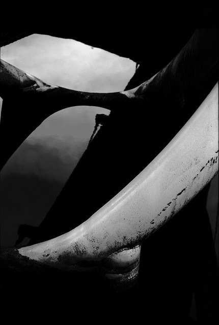 Archillect ID 61446