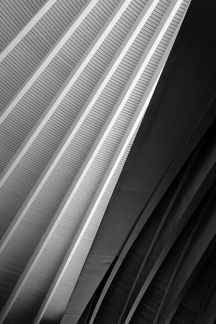 Archillect ID 61475