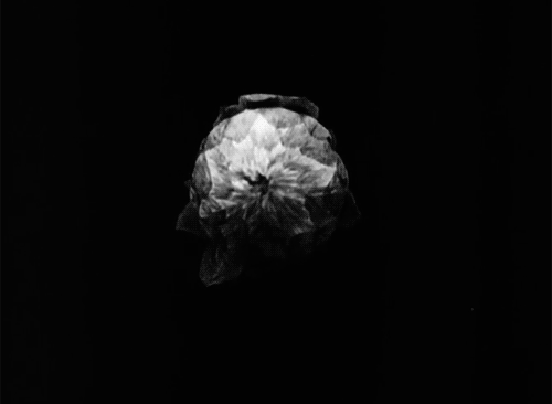 Archillect ID 61538