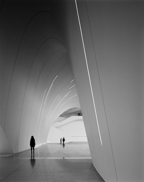 Archillect ID 61631